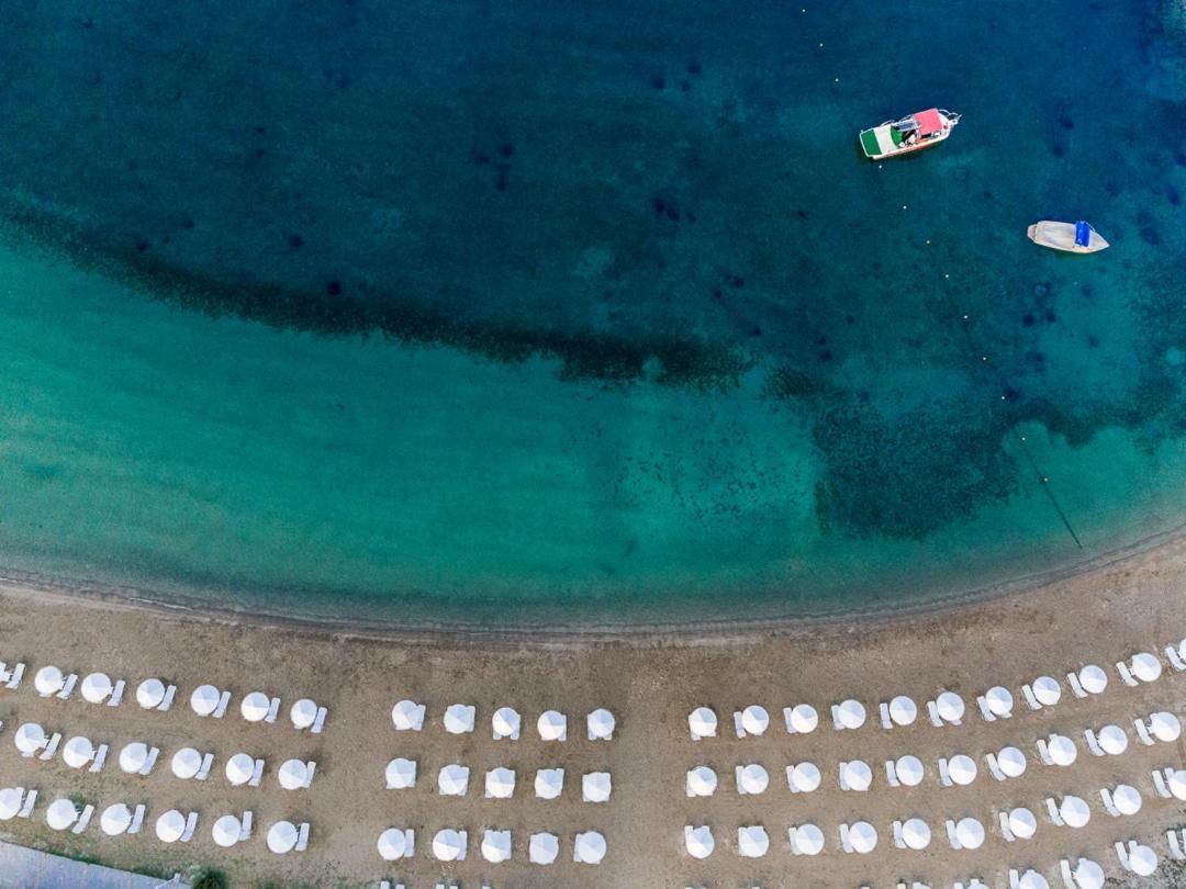 Palmariva Beach Hotel 埃雷特里亚 外观 照片